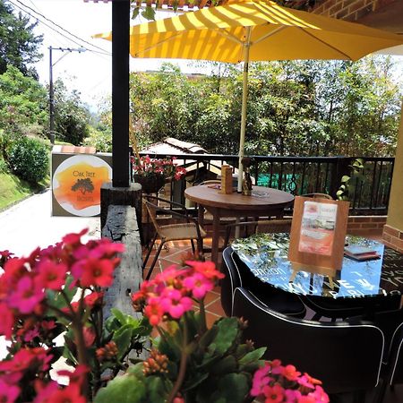 Oak Tree House Guest House Guatape Ngoại thất bức ảnh