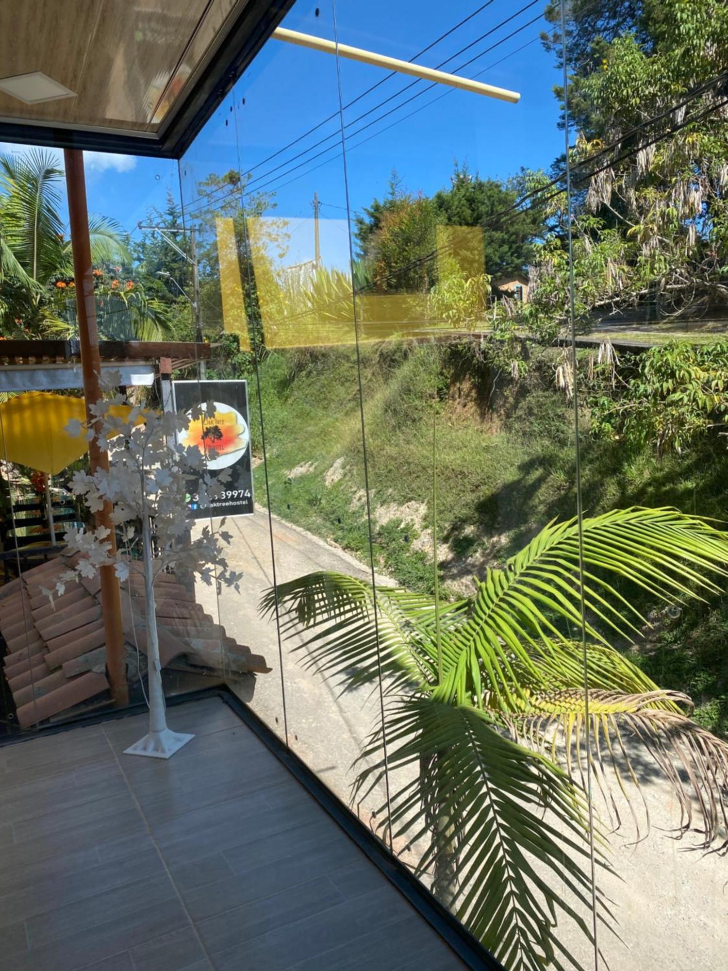 Oak Tree House Guest House Guatape Ngoại thất bức ảnh